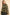 Lightweight Cotton Canvas Jacket in Camo