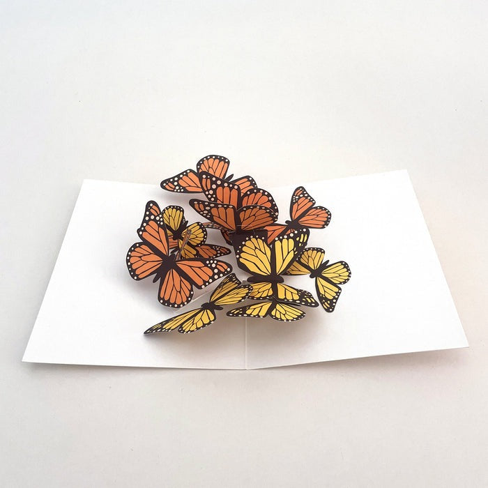 Maike Biederstaedt Pop-up Note Cards