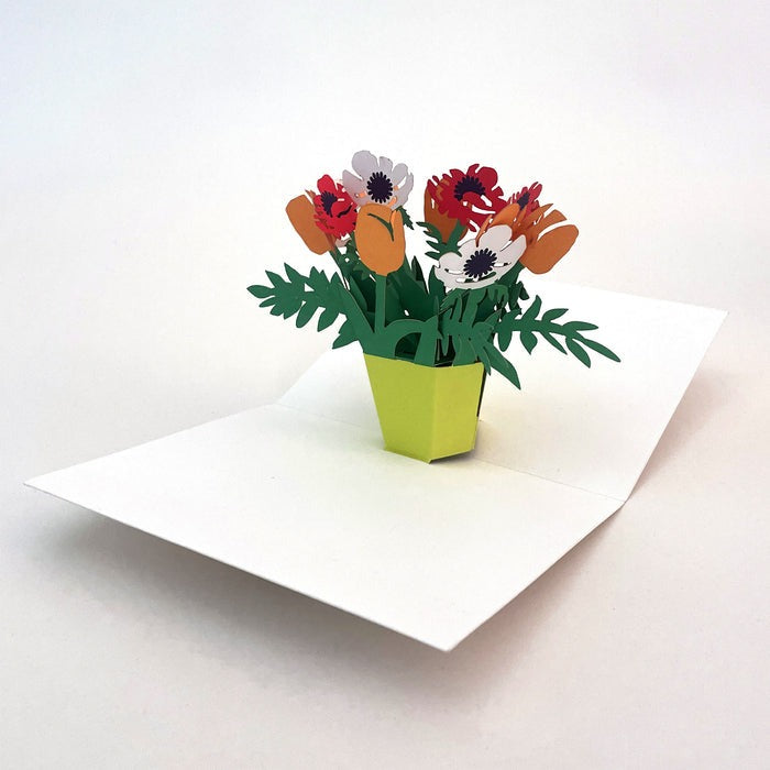 Maike Biederstaedt Pop-up Note Cards
