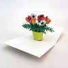 Maike Biederstaedt Pop-up Note Cards