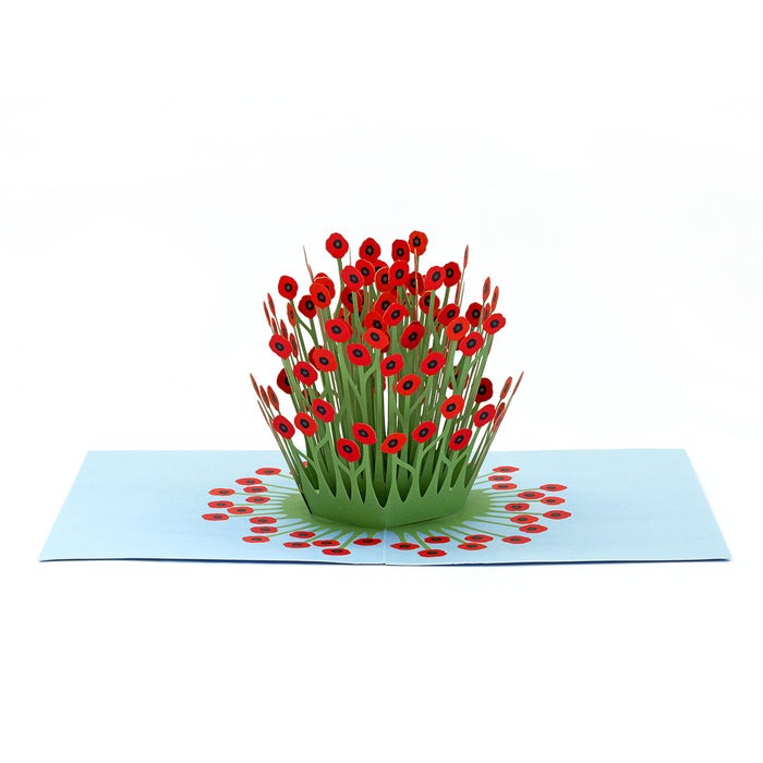 Maike Biederstaedt Pop-up Note Cards