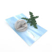 Maike Biederstaedt Pop-up Note Cards