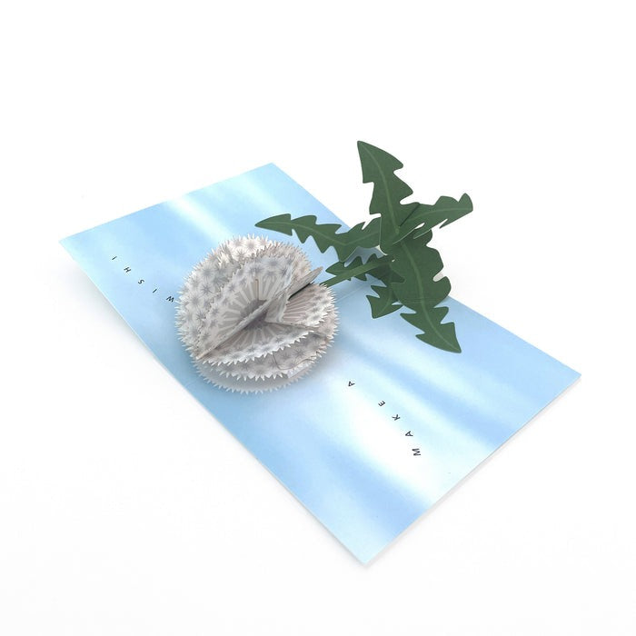 Maike Biederstaedt Pop-up Note Cards