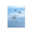 Maike Biederstaedt Pop-up Note Cards