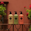 Nopalera Cactus Shower Gel