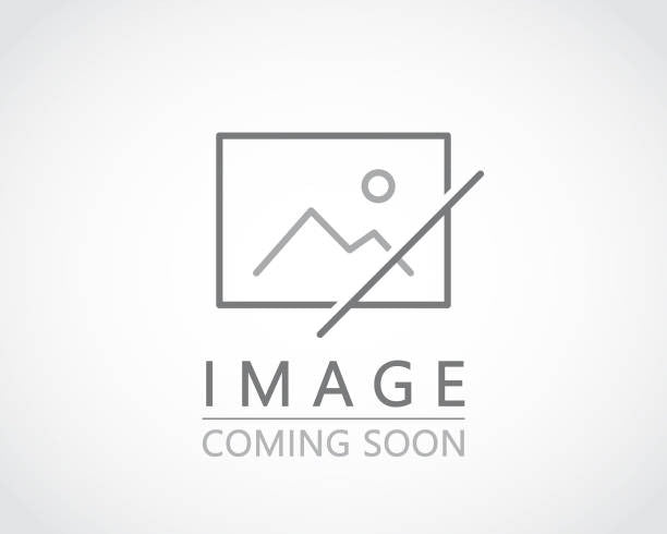 Barcelona Classic Bikini Bottom