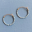 Alice Rise Colorloop Earrings (various sizes & colors)