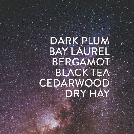 Particle Goods Perfume Roller