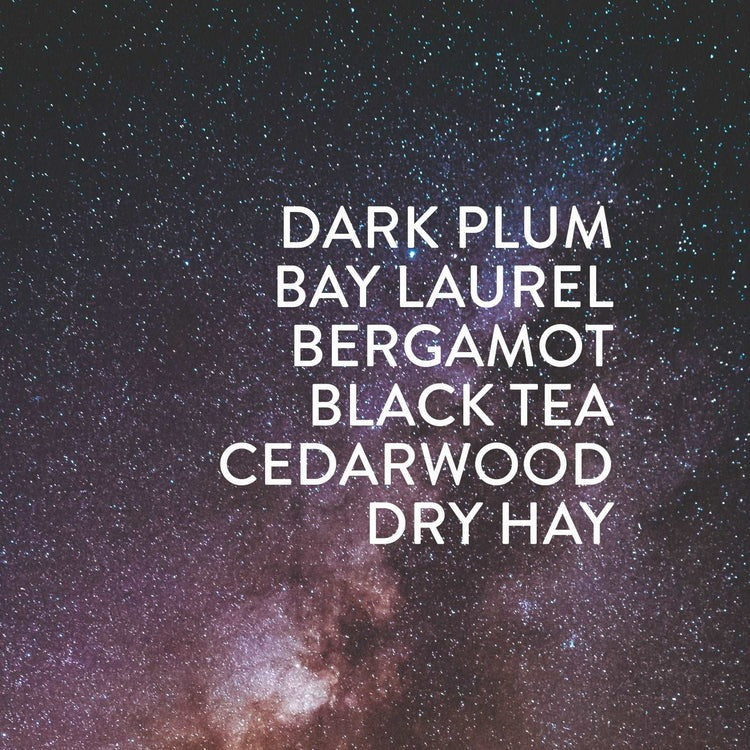 Particle Goods Perfume Roller