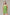 Jungmaven Cropped Tank - Pistachio