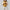 Utility Canvas Quilted Snap Vest - Honey