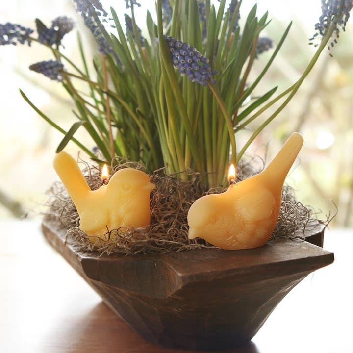 Beeswax Songbird Candles - Two Poses