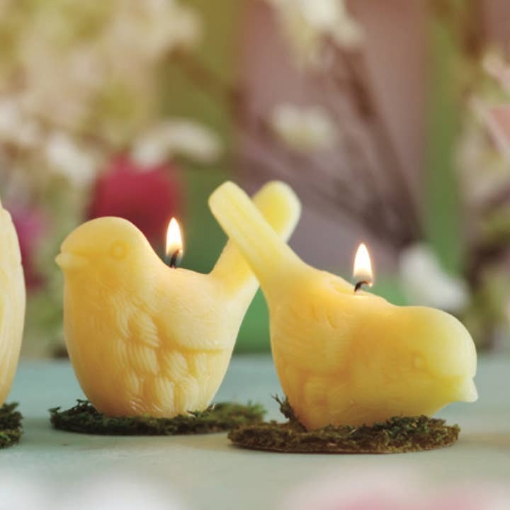 Beeswax Songbird Candles - Two Poses