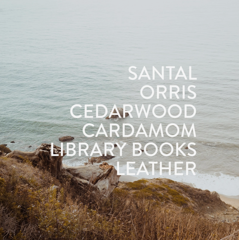 Particle Goods Perfume Roller